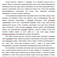 Иллюстрация №3: Раны и ушибы у лошадей (Курсовые работы - Ветеринария).